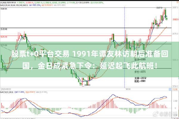 股票t+0平台交易 1991年谭友林访朝后准备回国，金日成紧急下令：延迟起飞此航班！