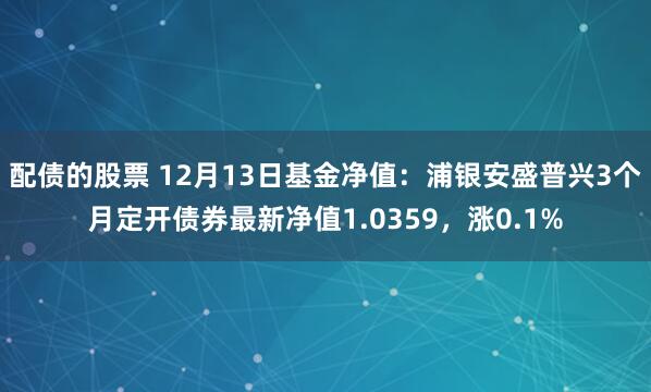 配债的股票 12月13日基金净值：浦银安盛普兴3个月定开债券最新净值1.0359，涨0.1%