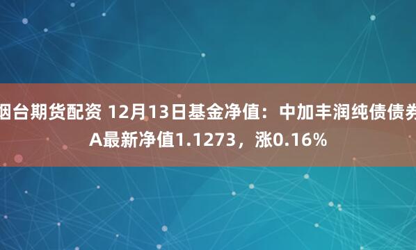 烟台期货配资 12月13日基金净值：中加丰润纯债债券A最新净值1.1273，涨0.16%