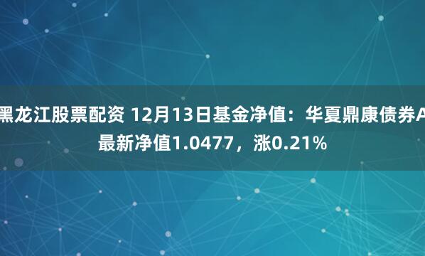 黑龙江股票配资 12月13日基金净值：华夏鼎康债券A最新净值1.0477，涨0.21%