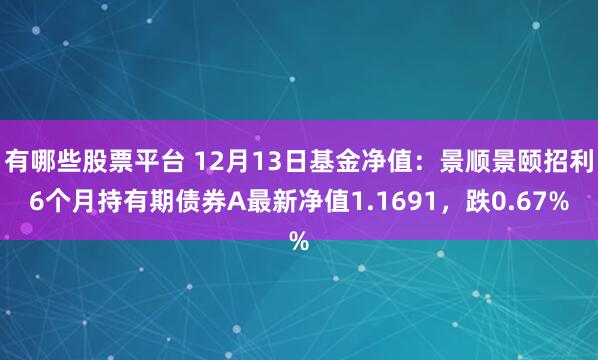 有哪些股票平台 12月13日基金净值：景顺景颐招利6个月持有期债券A最新净值1.1691，跌0.67%