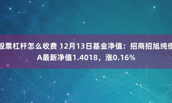 股票杠杆怎么收费 12月13日基金净值：招商招旭纯债A最新净值1.4018，涨0.16%