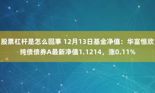 股票杠杆是怎么回事 12月13日基金净值：华富恒欣纯债债券A最新净值1.1214，涨0.11%