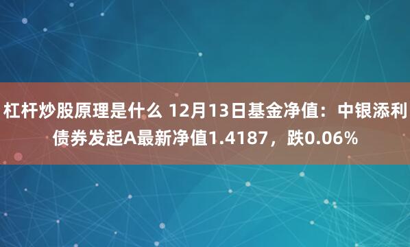 杠杆炒股原理是什么 12月13日基金净值：中银添利债券发起A最新净值1.4187，跌0.06%