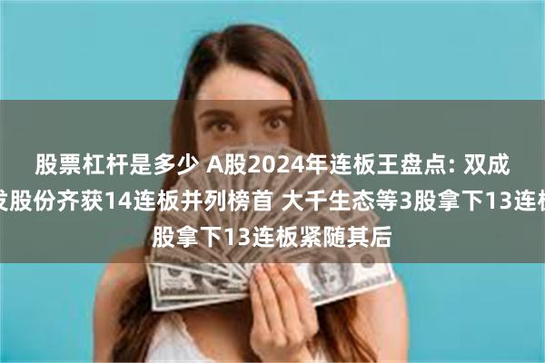 股票杠杆是多少 A股2024年连板王盘点: 双成药业和松发股份齐获14连板并列榜首 大千生态等3股拿下13连板紧随其后