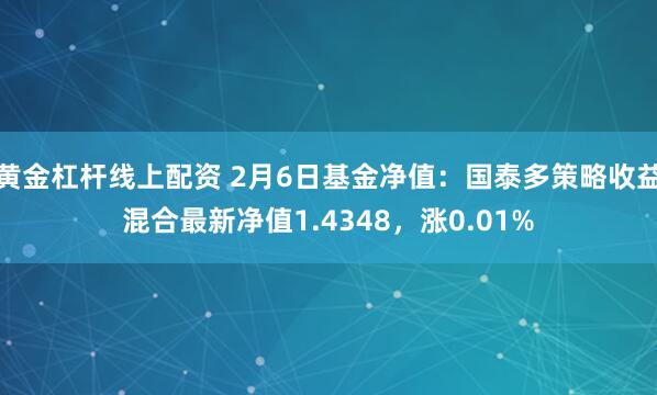 黄金杠杆线上配资 2月6日基金净值：国泰多策略收益混合最新净值1.4348，涨0.01%