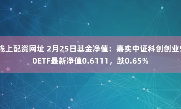 线上配资网址 2月25日基金净值：嘉实中证科创创业50ETF最新净值0.6111，跌0.65%