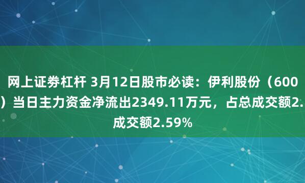 网上证劵杠杆 3月12日股市必读：伊利股份（600887）当日主力资金净流出2349.11万元，占总成交额2.59%